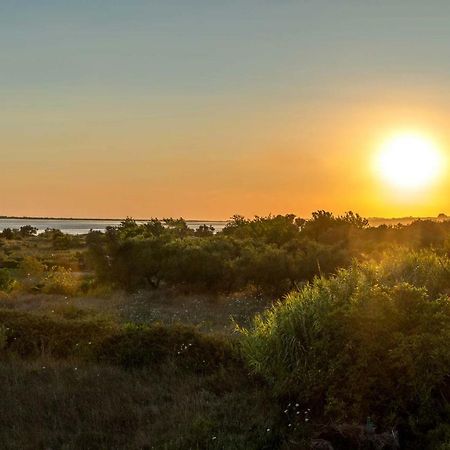 Villa Nissos Línia Exteriér fotografie