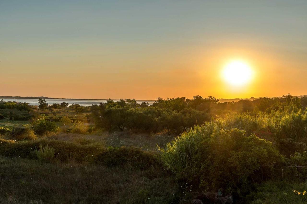 Villa Nissos Línia Exteriér fotografie